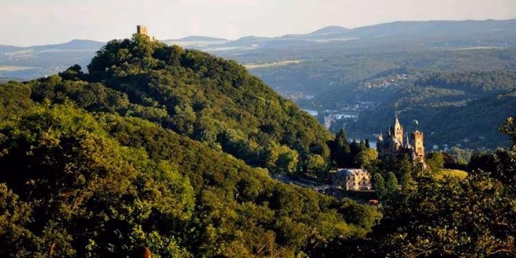 Blick über bewaldete Hügel auf eine Burgruine und ein Schloss im Tal